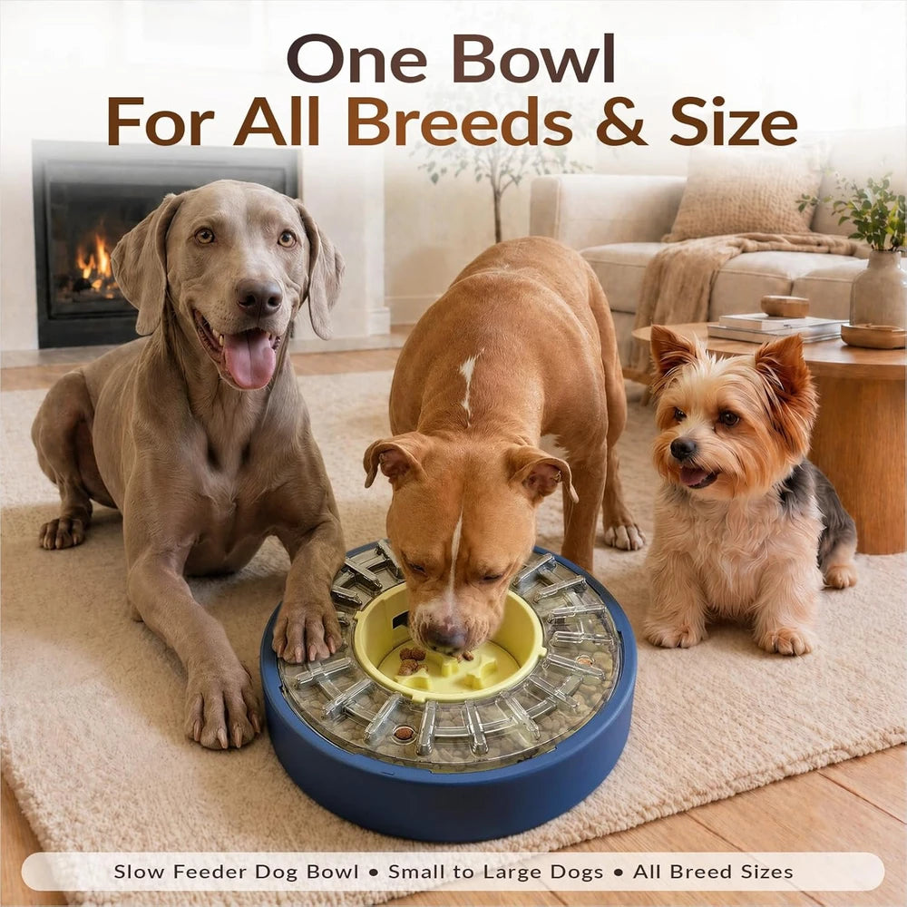 Spinning Dog Puzzle Feeder